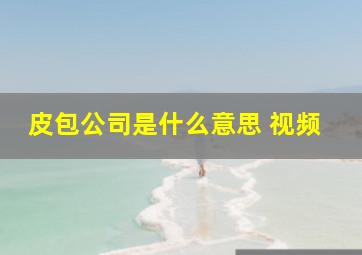 皮包公司是什么意思 视频